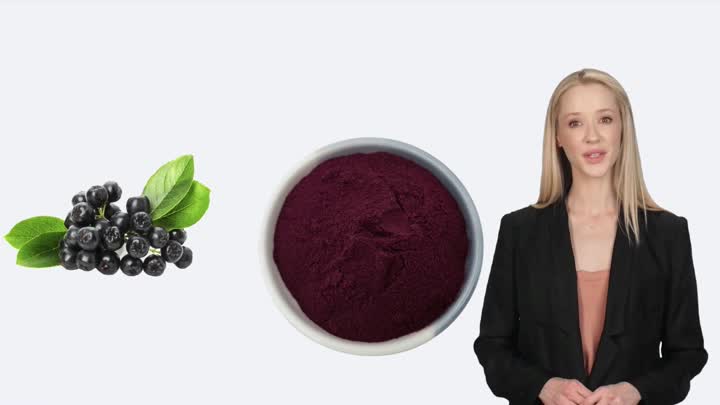 bilberry powder