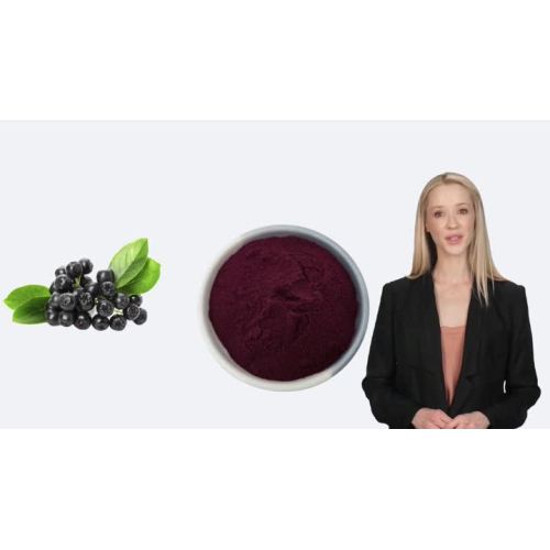 bilberry powder