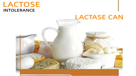 Lactase -enzym lost lactose -intolerantie op