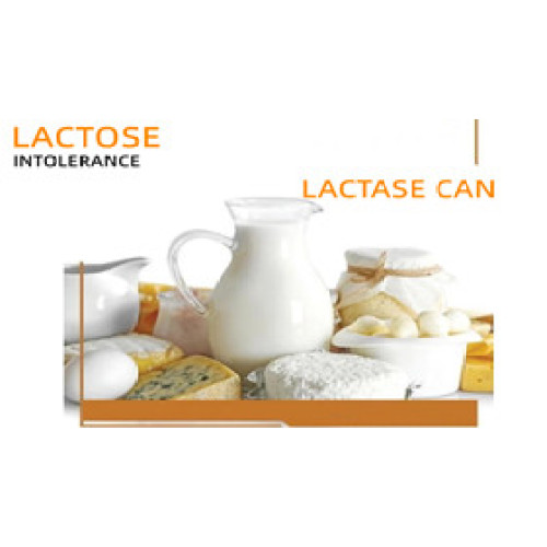 Lactase enzyme resolves lactose intolerance