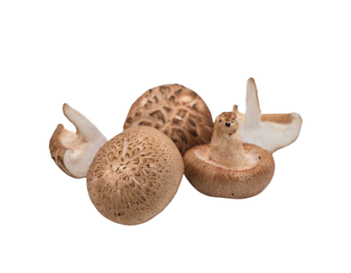 Nutritional value of lentinus edodes extract