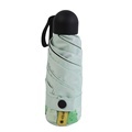 Customizable 5-inch Lady's Full Color Printing Umbrella with UV Protection - Shop Now!1