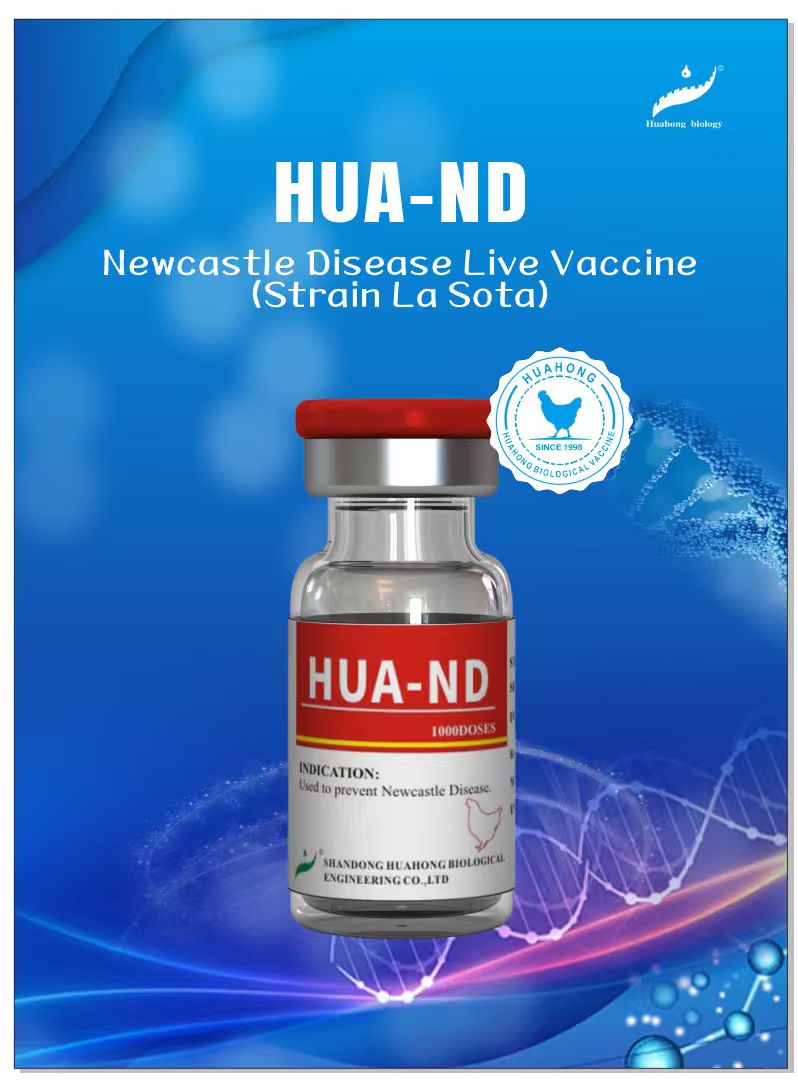 Hua-Newcastle Disease Live Vaccine (tulpina La Sota)