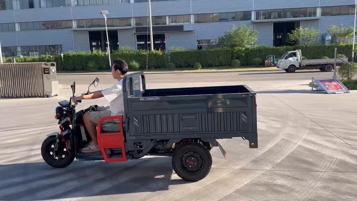 three wheel electric vehicle