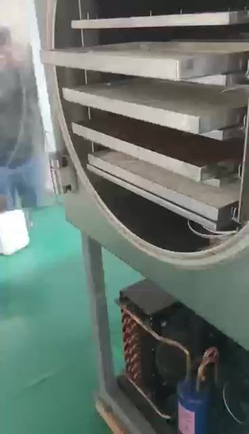 Professional milk powder freeze dryer manufacturer
