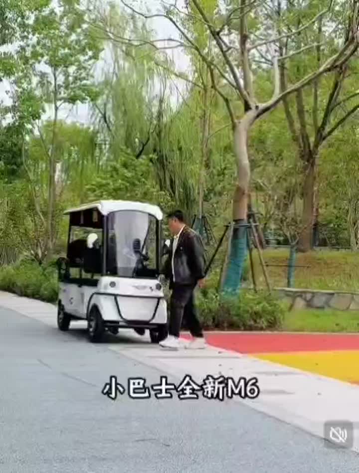 Scenic area electric sightseeing tricycle