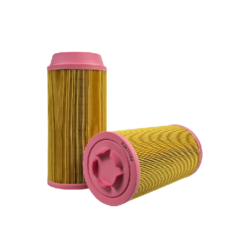 Паветраны фільтр C11100