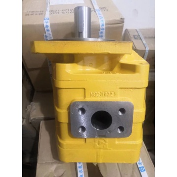 Hydraulic gear pump replacement precautions
