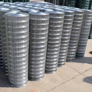 List of Top 10 Electro Galvanized Welded Wire Mesh Brands Popular in European and American Countries