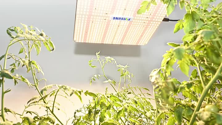 320w led grow light with timer