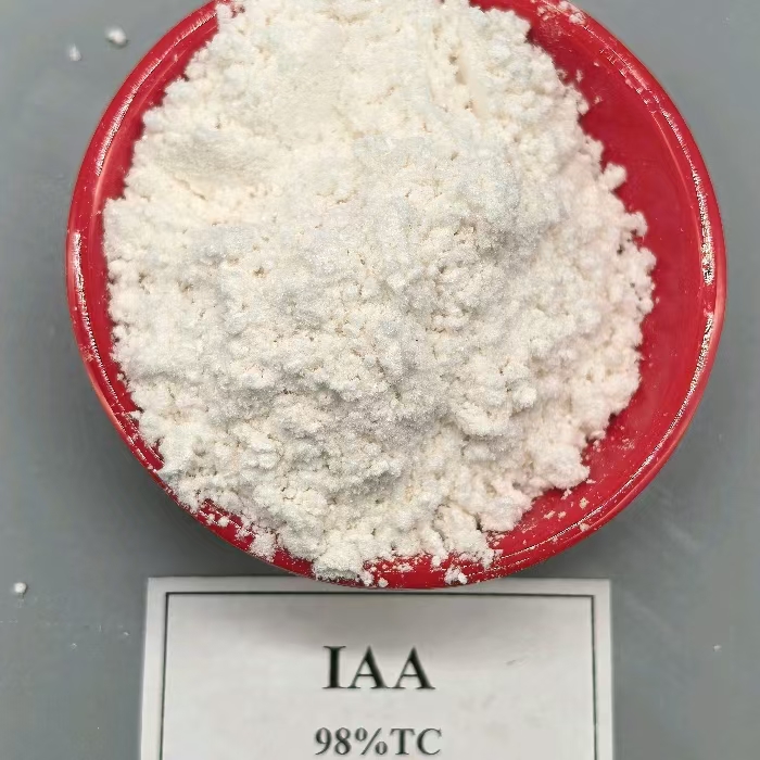 IAA Indole-3-Acetic Acid (IAA) สารควบคุมการเจริญเติบโตของพืชออกซิน