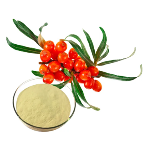 Faedah serbuk seabuckthorn untuk wanita