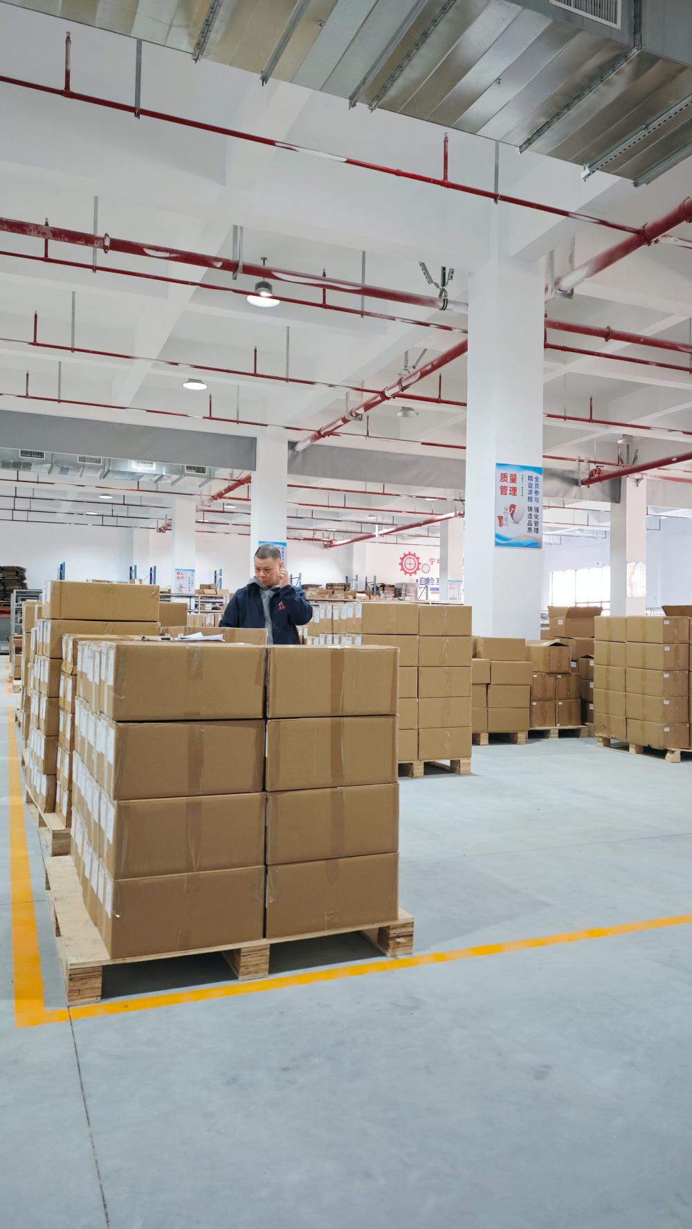 Palletized Cartons Ready for Shipment