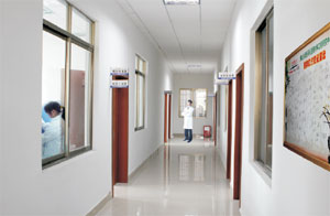 Guangdong Hongbo New Materials Group Co., Ltd.