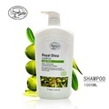 Customized Natural Royal Shea Butter Shampoo for Dandruff and Oil Control1