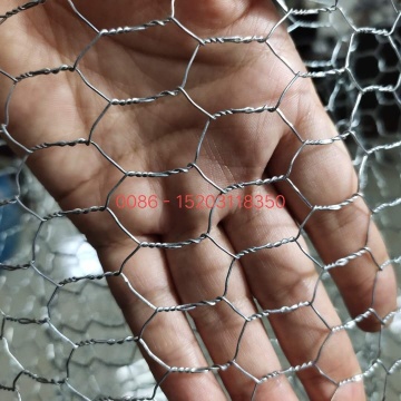 China Top 10 Chicken Wire Mesh Potential Enterprises