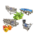 Avocado Orange Mango Citrus Fruit Washing Waxing Polishing and Sorting Grading Machine Processing Line1