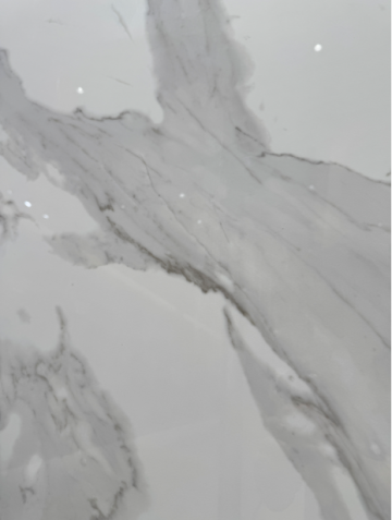 Top-grade fish maw white