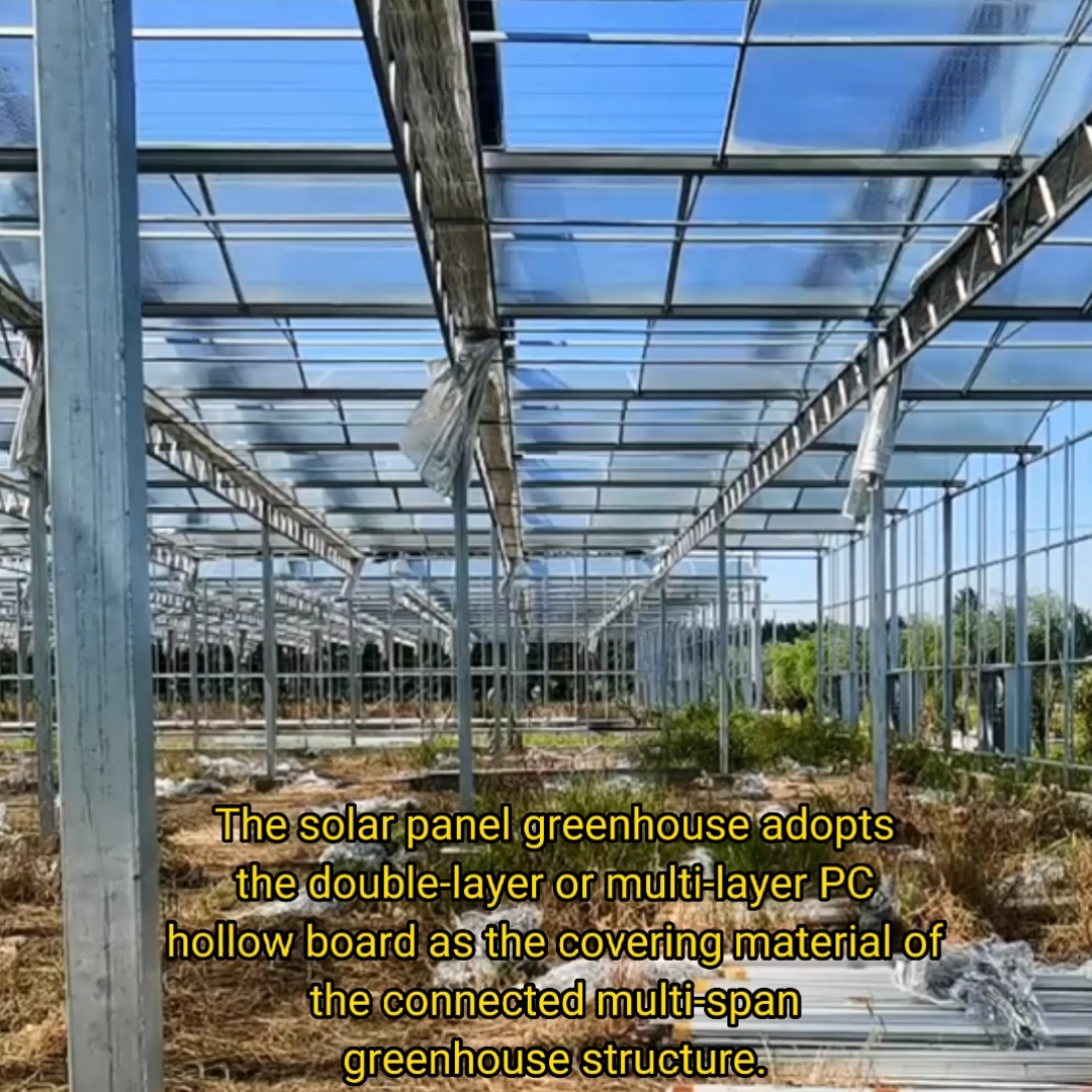 Fabricant de Chine Multiping Polycarbonate Tomates Greenhouse avec Système hydroponique1