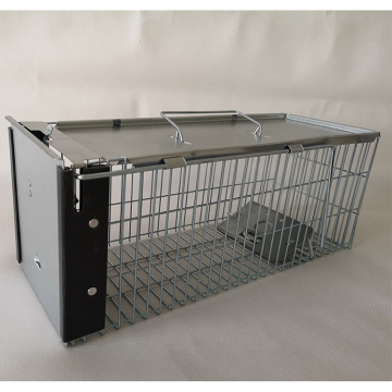 List of Top 10 Mouse Trap Brands Popular in European and American Countries