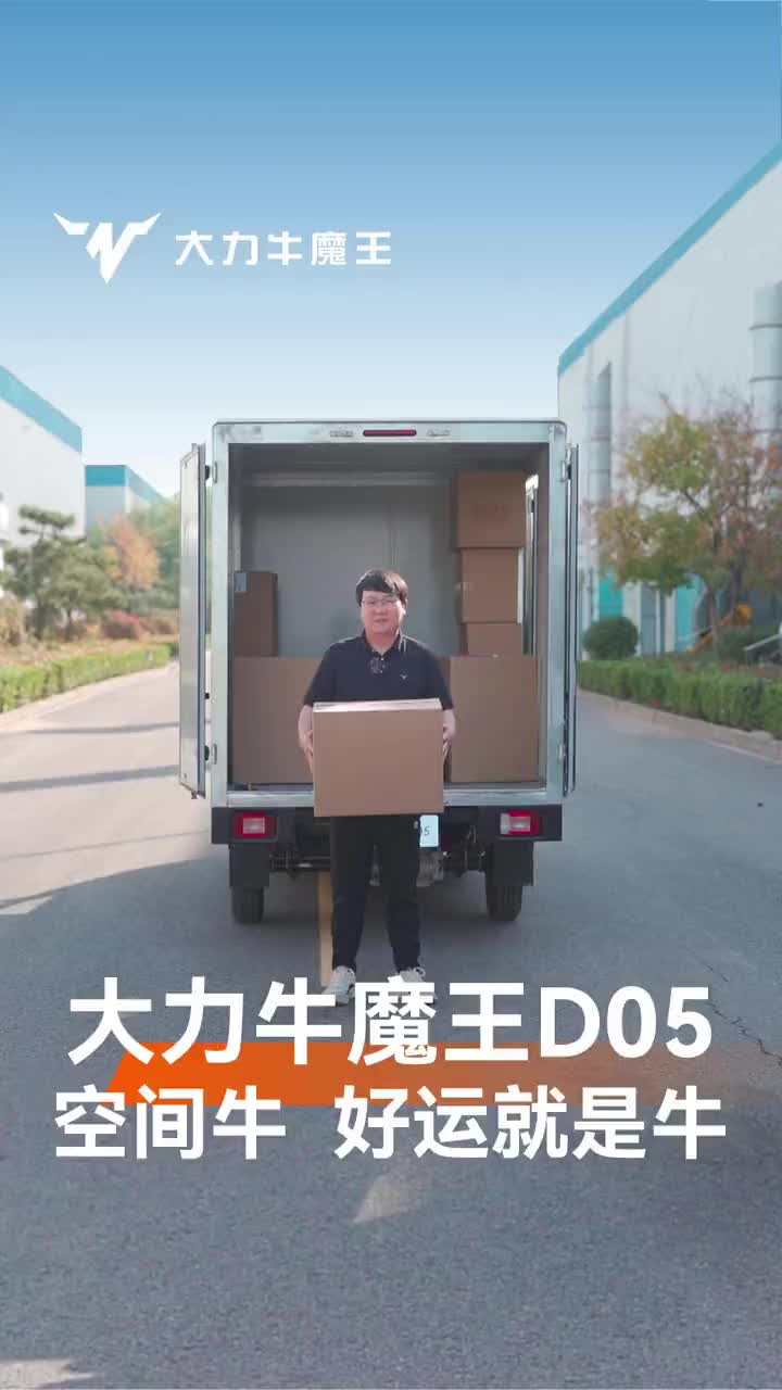 D05 versatile electric van