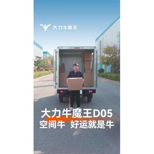 D05 versatile electric van
