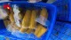 Benih Jagung Waxy untuk dijual