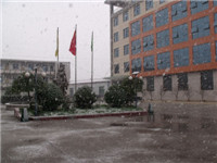 Henan Liwei Industry