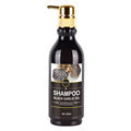 Private Label Chinese Black Garlic Extract Shampoo and Lotion for Anti-Hair Loss1