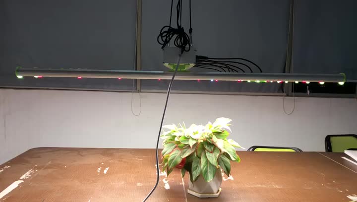 LED élèvent la lumière pour les plantes d&#39;intérieur