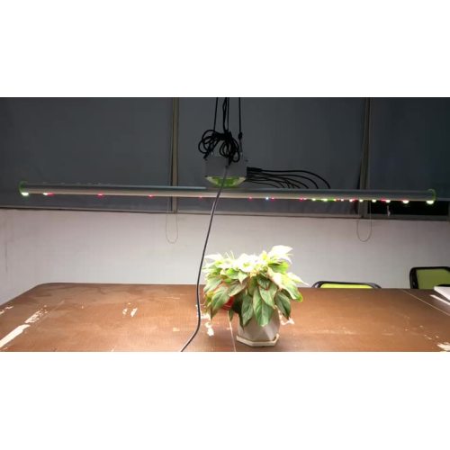 LED Grow Light for Indoor Plants