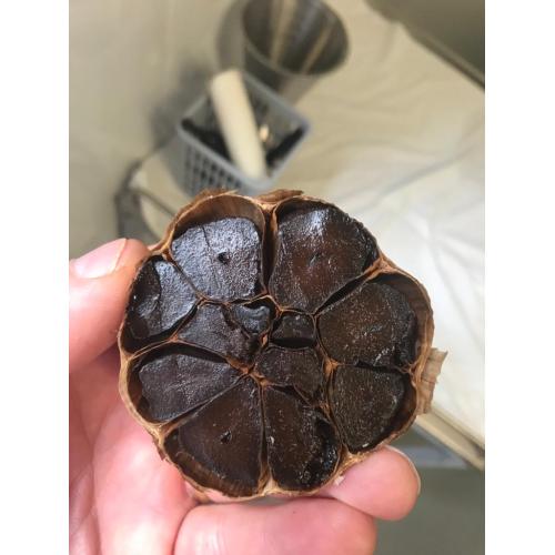 A French Customer Successfully Completed the Production of Black Garlic Through Our Black Garlic Fermentation Machine