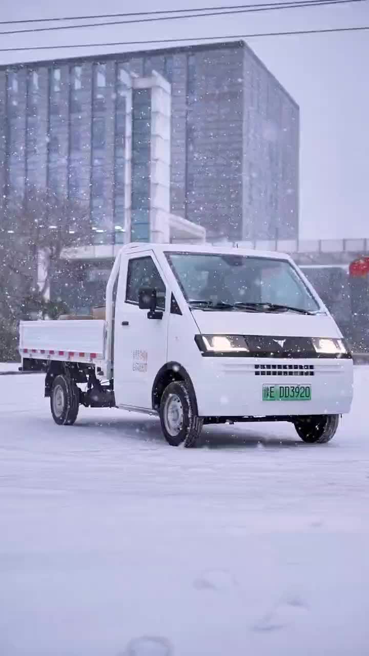 D05 flatbed new energy mini truck