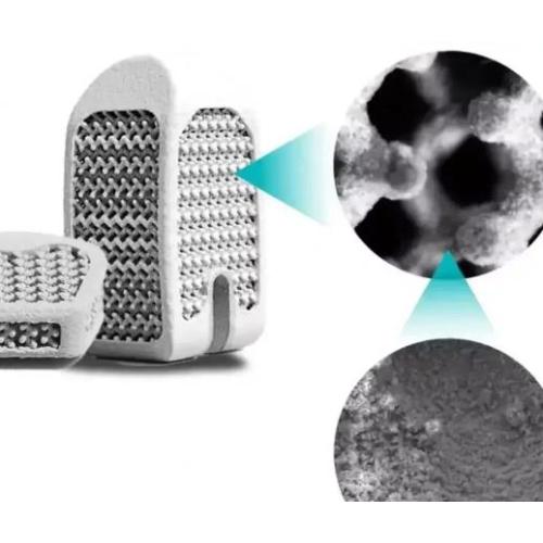 Biocoated porous titanium interbody fusion apparatus