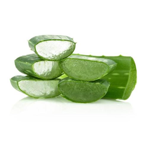 Aloe Vera Extrato em pó: Elixir de cura da natureza