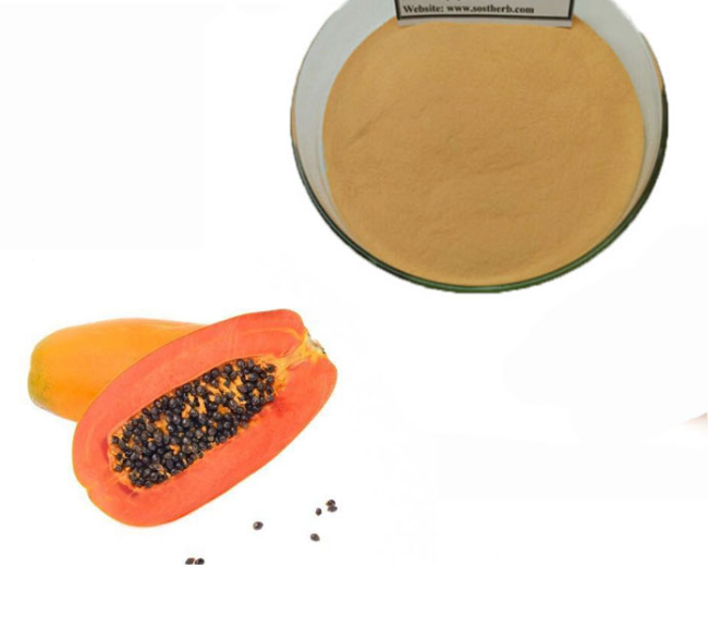 Papaya Powder Png