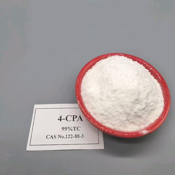 4-CPA - ฮอร์โมนการตั้งค่าผลไม้สังเคราะห์ออกซิน 99%