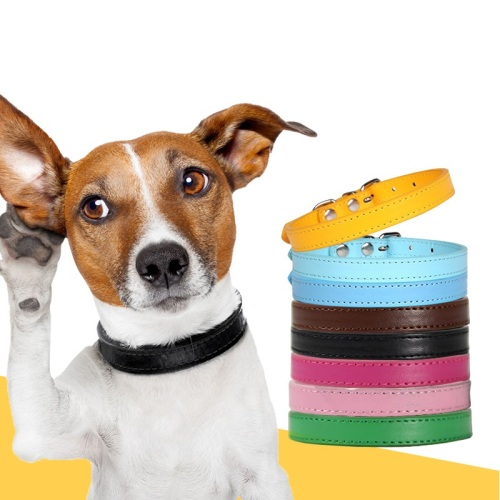 Colorful Leather Dog Collar