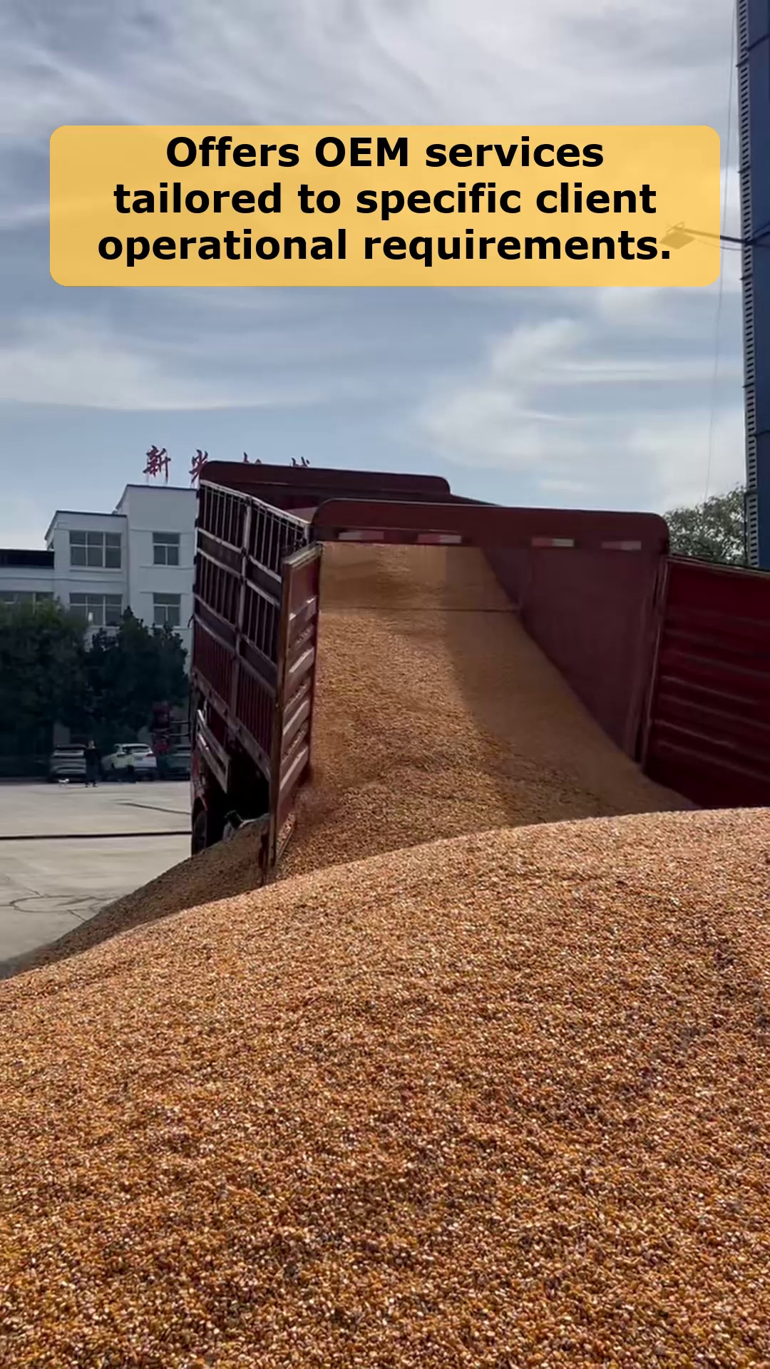 Vidéo 56