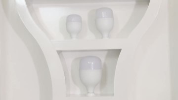 diamond bulb