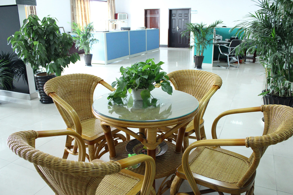 zhejiang lingda caster Co., Ltd