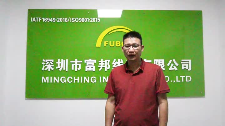 Einführung des FBXS -Unternehmens und den Kunden mit zufriedenstellenden Kabelbaumdiensten für Automobilverdrahtungen