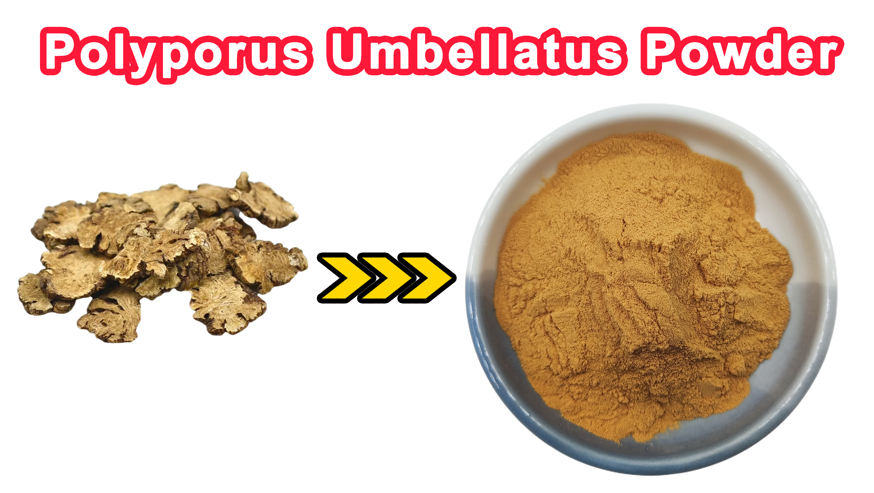 Polyporus umbellatus抽出物