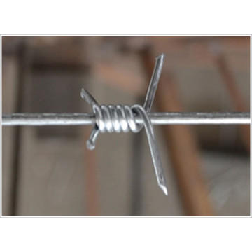 Top 10 Galvanized Barbed Wire Manufacturers