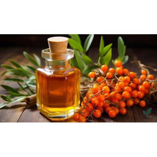 Seabuckthorn seed oil