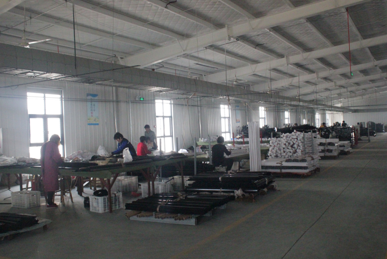 SHANDONG CAIFENG INTERNATIONAL TRADING Co., Ltd.