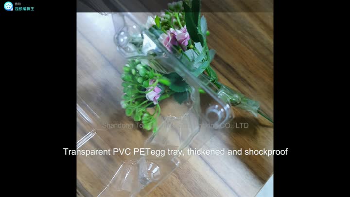 Transparent PVC, PET egg tray