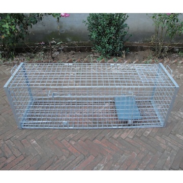 List of Top 10 Medium Animal Cage Trap Brands Popular in European and American Countries