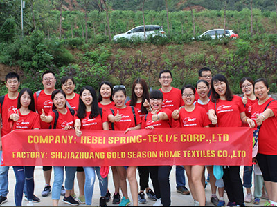 Hebei Spring-Tex I/E Co.,Ltd