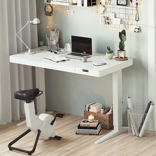 Hollin Furniture Standing Desk
